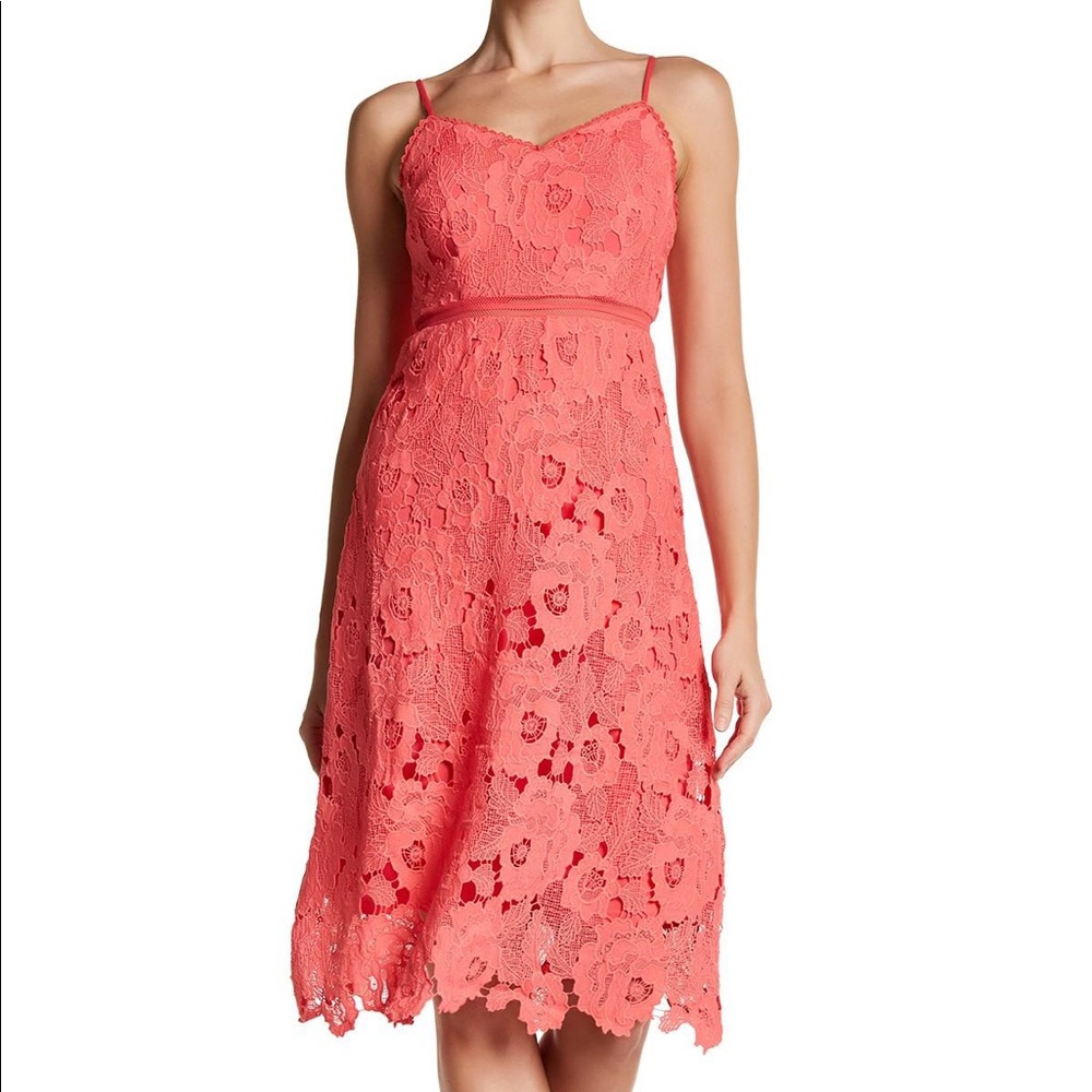 NWT Bebe Floral Lace Dress